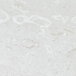 White Pearl Myra Limestone 24x24 Honed Tile - TILE & MOSAIC DEPOT