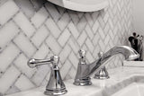 Dc Metro Georgetown Thassos White/ Bianco Carrara Mosaic Tile - TILE & MOSAIC DEPOT