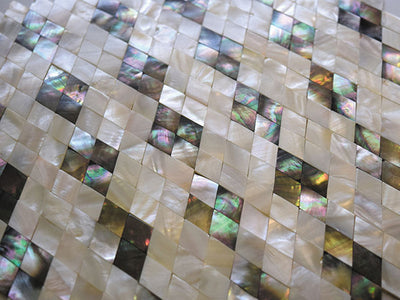 JEWELS OF THE SEA SEA DIAMONDS shell Mosaic Tile - TILE & MOSAIC DEPOT