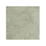 SEAGRASS_12X12 honed