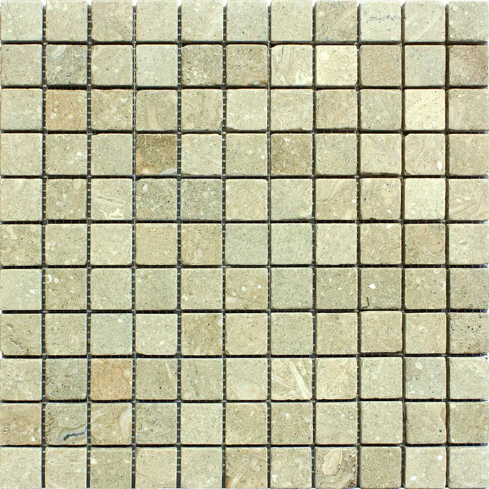 Seagrass Limestone 1x1 Tumbled Mosaic Tile - TILE & MOSAIC DEPOT