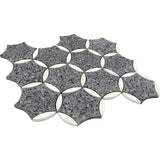 Aquileia Terrazzo Dolomite Limestone Mosaic Tile - TILE & MOSAIC DEPOT