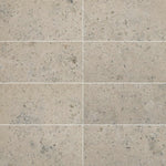 Nova Grey Limestone 12x24 Tile - TILE & MOSAIC DEPOT