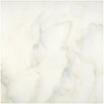 Calacatta Oliva Marble 12x12 Polished Tile - TILE & MOSAIC DEPOT