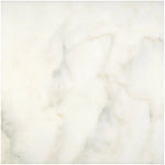 Calacatta Oliva Marble 18x18 Honed Tile - TILE & MOSAIC DEPOT