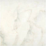 Calacatta Oliva Marble 24x24 Polished Tile - TILE & MOSAIC DEPOT