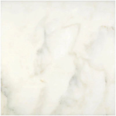 Calacatta Oliva Marble 24x24 Polished Tile - TILE & MOSAIC DEPOT