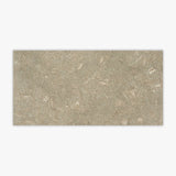 seagrass 12x24 honed