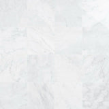 Asian Statuary (Oriental White) Marble 12x12 Polished Tile - TILE AND MOSAIC DEPOT