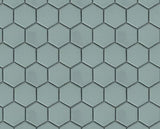 Jade 2x2 Hexagon Glazed Porcelain Mosaic Tile - TILE & MOSAIC DEPOT