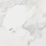 Calacatta Gold Marble 18x18 Polished Marble Tile - TILE AND MOSAIC DEPOT