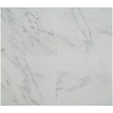 Asian Statuary (Oriental White) Marble 12x12 Honed Tile - TILE & MOSAIC DEPOT