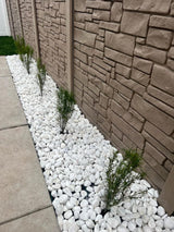 White Natural Pebble Stone - TILE & MOSAIC DEPOT