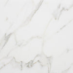 Calacatta Gold Marble 12x12 Honed Marble Tile - TILE AND MOSAIC DEPOT