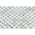 Calacatta Gold Marble Fan Shape (Raindrop) Honed Mosaic Tile - TILE AND MOSAIC DEPOT