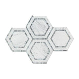 White Carrara Marble 5x5 Hexagon with Blue Honed Mosaic Tile - TILE AND MOSAIC DEPOT