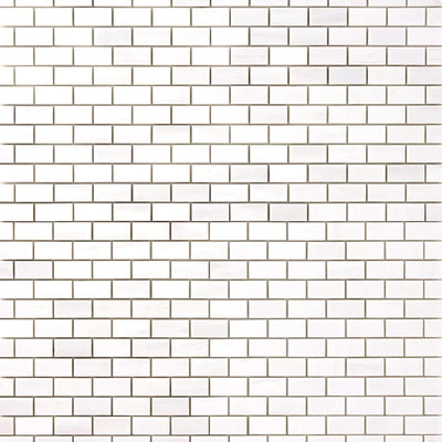 Bianco Dolomite Marble 1x2 Polished Brick Mosaic Tile - TILE & MOSAIC DEPOT