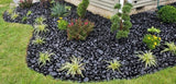 Black Polished Pebbles - TILE & MOSAIC DEPOT