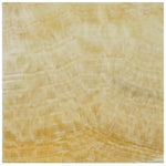 Honey Onyx 12x12 Polished Tile - TILE AND MOSAIC DEPOT