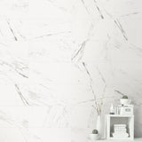 Italian Carrara 12x24 Honed Matte