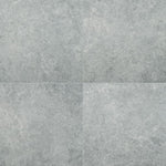 Legions Lunar Silver 24x24 2 cm Porcelain Paver - TILE & MOSAIC DEPOT