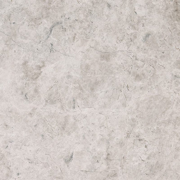 Silver Sky Marble 12x12 Honed Tile - TILE & MOSAIC DEPOT